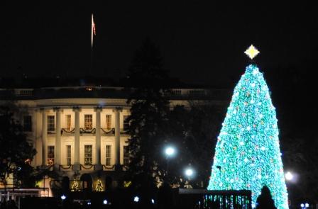 写真・図版 : 米国ホワイトハウス前のクリスマスツリー＝ワシントンで、望月洋嗣撮影