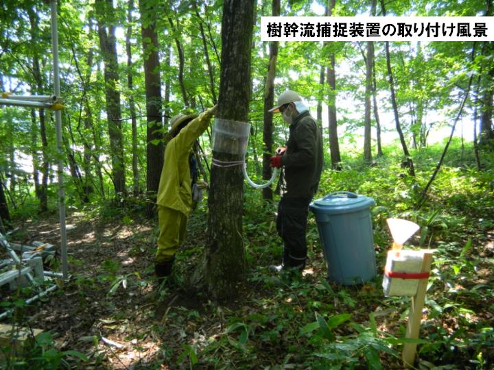 写真・図版 : 