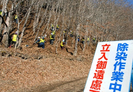 写真・図版 : 福島県田村市の国道沿いの除染現場。急斜面の頂上部分から順に熊手を使って枝葉を集めていた＝１月７日、鬼原民幸撮影
