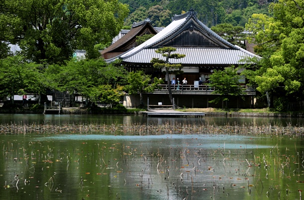 宝塔の地下に納骨堂がある大覚寺と隣接する大沢池＝2013年5月、京都市右京区