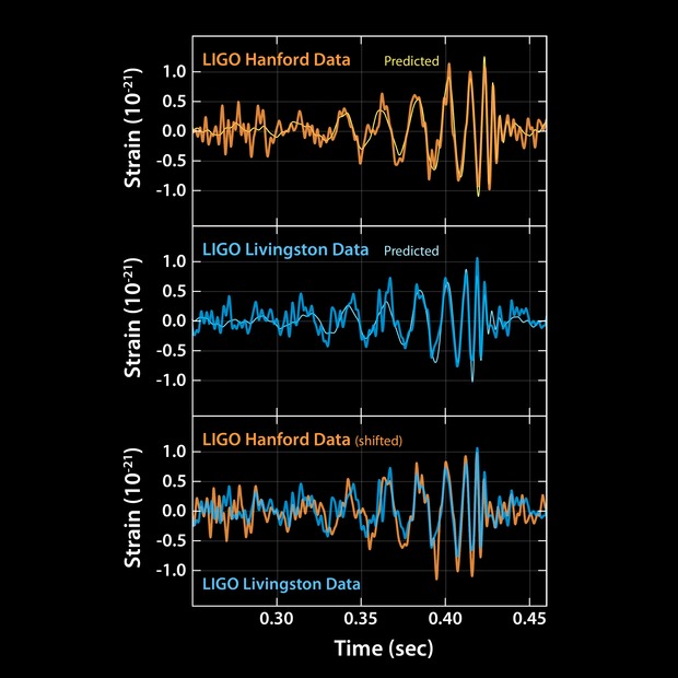 写真・図版 : ＬＩＧＯが発表した重力波の波形。上がハンフォード、下がリビングストンで観測されたもの。薄い細線は理論予測。最下段は、ハンフォードのデータを７ミリ秒ずらしてリビングストンのデータに重ねたもの。