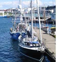 写真・図版 : 反捕鯨団体の抗議船＝２００６年６月、アイスランドで松田撮影