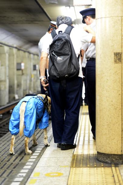 点字ブロックの上に駅の柱があるホーム。東京視覚障害者協会の田中章治さんは柱をよけて線路側を歩いた＝１８日午後５時２２分、東京都港区の東京メトロ青山一丁目駅