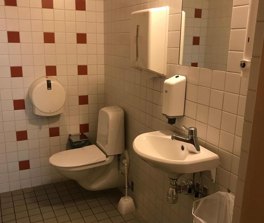 写真・図版 : 男女共用の個室トイレの室内。十分な広さがあり、身障者も利用しやすい（諸岡倫子さん撮影）