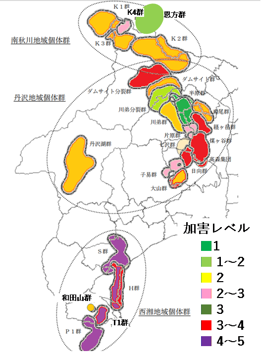 写真・図版 : 図：神奈川県西部のニホンザルの群れ分布と行動域、加害レベル（神奈川県2015 、2016 より筆者作図）
