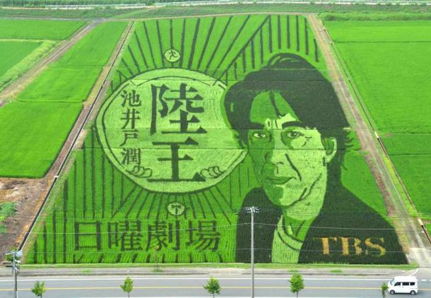 写真・図版 : 「陸王」の舞台となった埼玉県行田市も盛り上がり、コラボレーションした田んぼアートも＝2017年7月