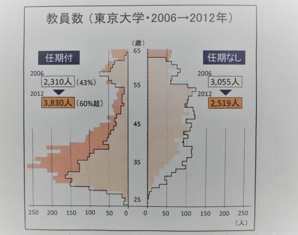 写真・図版 : 教員数（東京大学・2006→2012年）