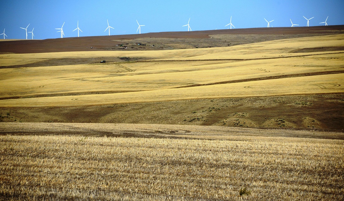 写真・図版 : 収穫が終わった米国オレゴン州の小麦畑