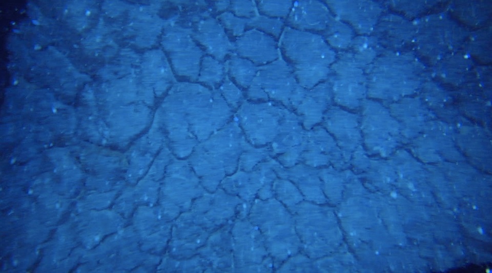 写真・図版 : 海底の枕状溶岩。カルデラを形成した破局噴火後に噴出した＝神戸大提供