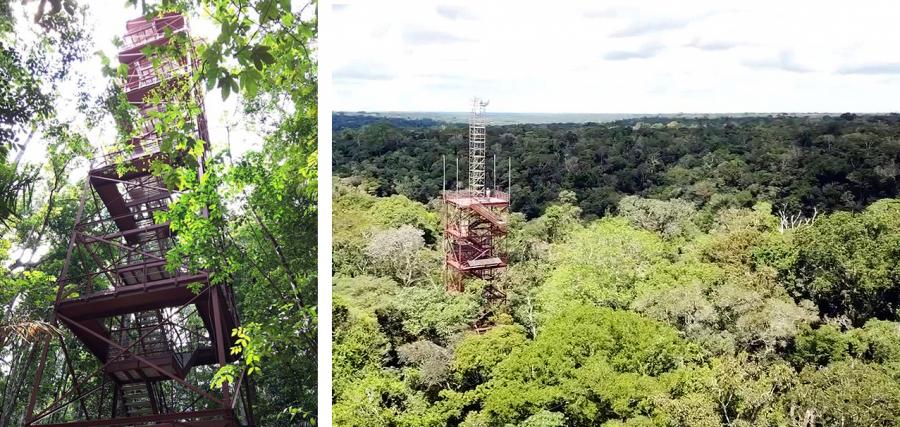 写真・図版 : マナウス市の北に広がる森に作られた高さ50メートルの熱帯雨林上層部観察タワー。40メートルの主鉄塔の上に、さらに10メートルの小型鉄塔が載っている。