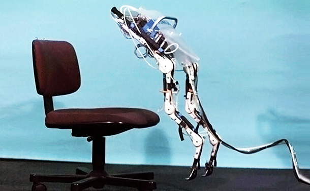 生物の動きを取り込む「しなやかロボット」の未来