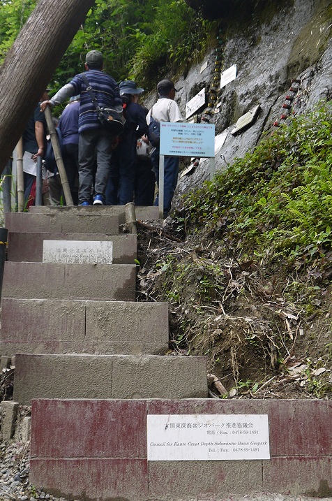 写真・図版 : 試料を取った地層を観察できるように設置された階段