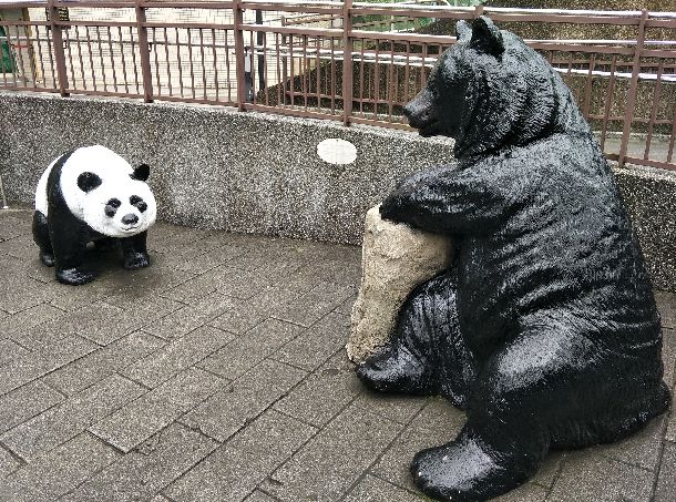 写真・図版 : 台北市立動物園のパンダ舎の前に置かれている台湾固有のタイワンツキノワグマ（右）とパンダの像＝2018年1月30日、台北市。吉岡桂子撮影