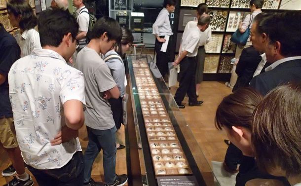写真・図版 : 東大総合研究博物館で公開中の武蔵石寿の昆虫標本
