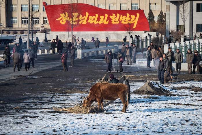 写真・図版 : 中朝国境から平壌に向かう列車内から。地方の風景。2016