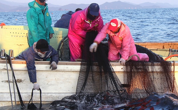 日本の漁業の再生か、小規模漁業の切り捨てか