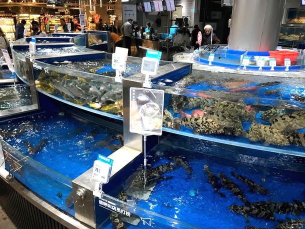写真・図版 : 上海市のRTマートの食品売り場には、高級魚やカニ、エビなどを売るいけすがある。客はここで好きな魚介を袋に入れて買う。隣接するレストランですぐに食べることもできる