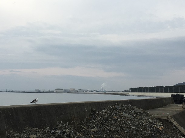 写真・図版 : 石巻沿岸部=2017年、撮影・筆者