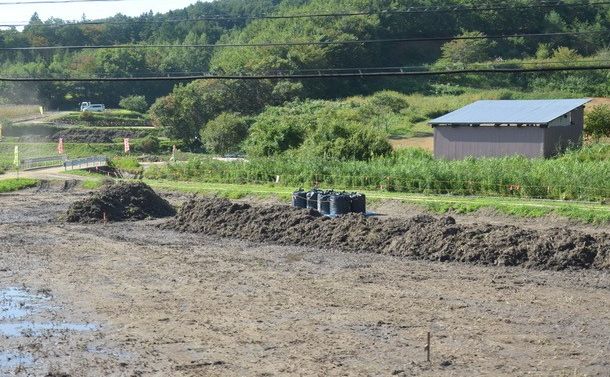 写真・図版 : 水田から剝ぎ取られた状態の除染廃棄物＝福島県伊達市、筆者撮影