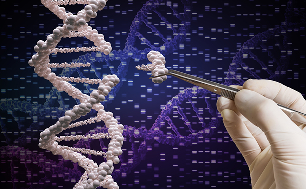写真・図版 : 遺伝性ゲノム編集の規制についてはWHO（世界保健機関）も動き出している(vchal/shutterstock.com)