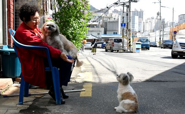 韓国 貧困に苦しむ高齢者たち 稲田清英 論座 朝日新聞社の言論サイト