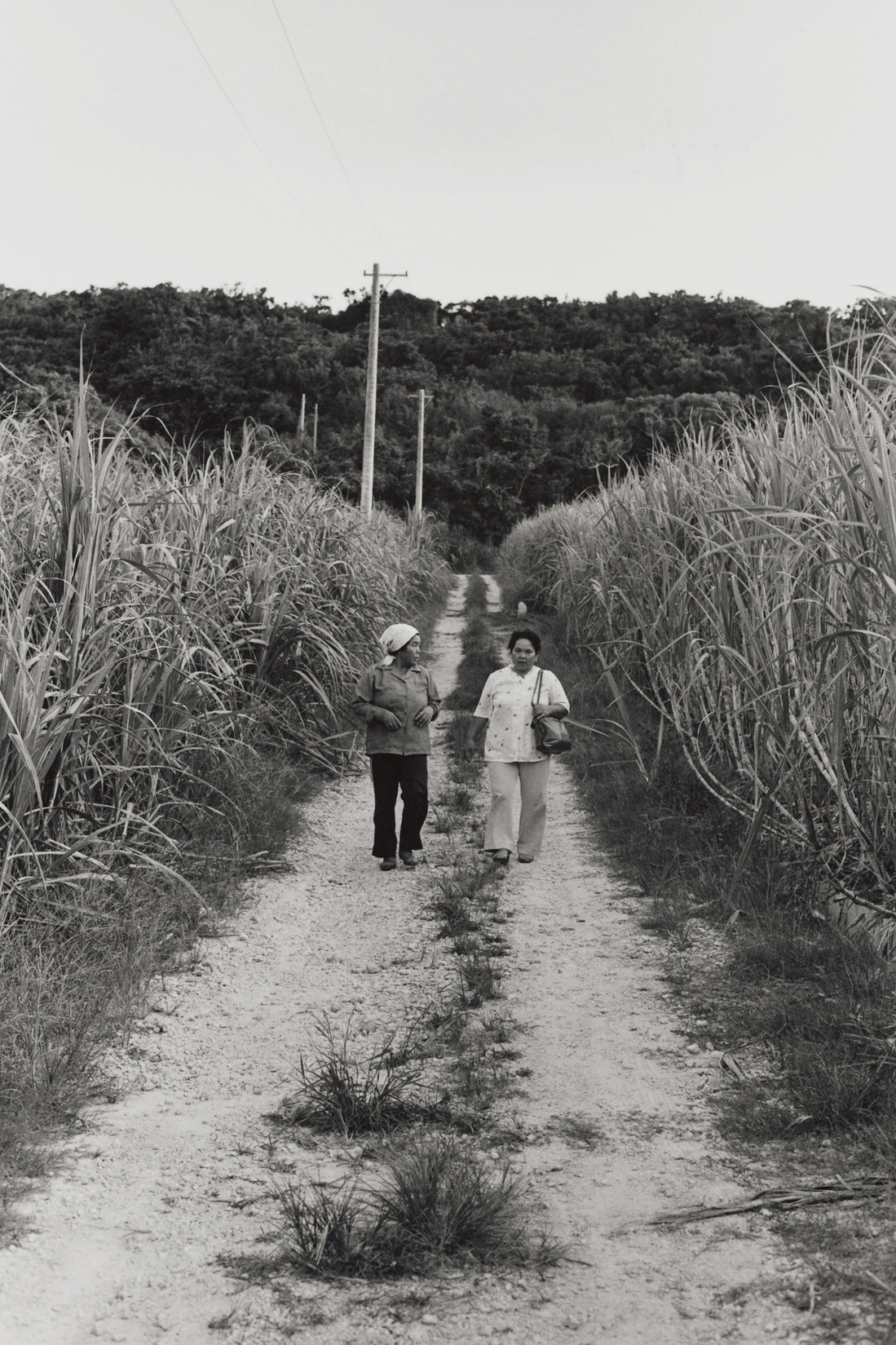 写真・図版 : 過酷な沖縄戦を体験した仲間ナツ（左）と古堅キヨ子=1928年生=（沖縄本島、1982年）©Yoshino Oishi

