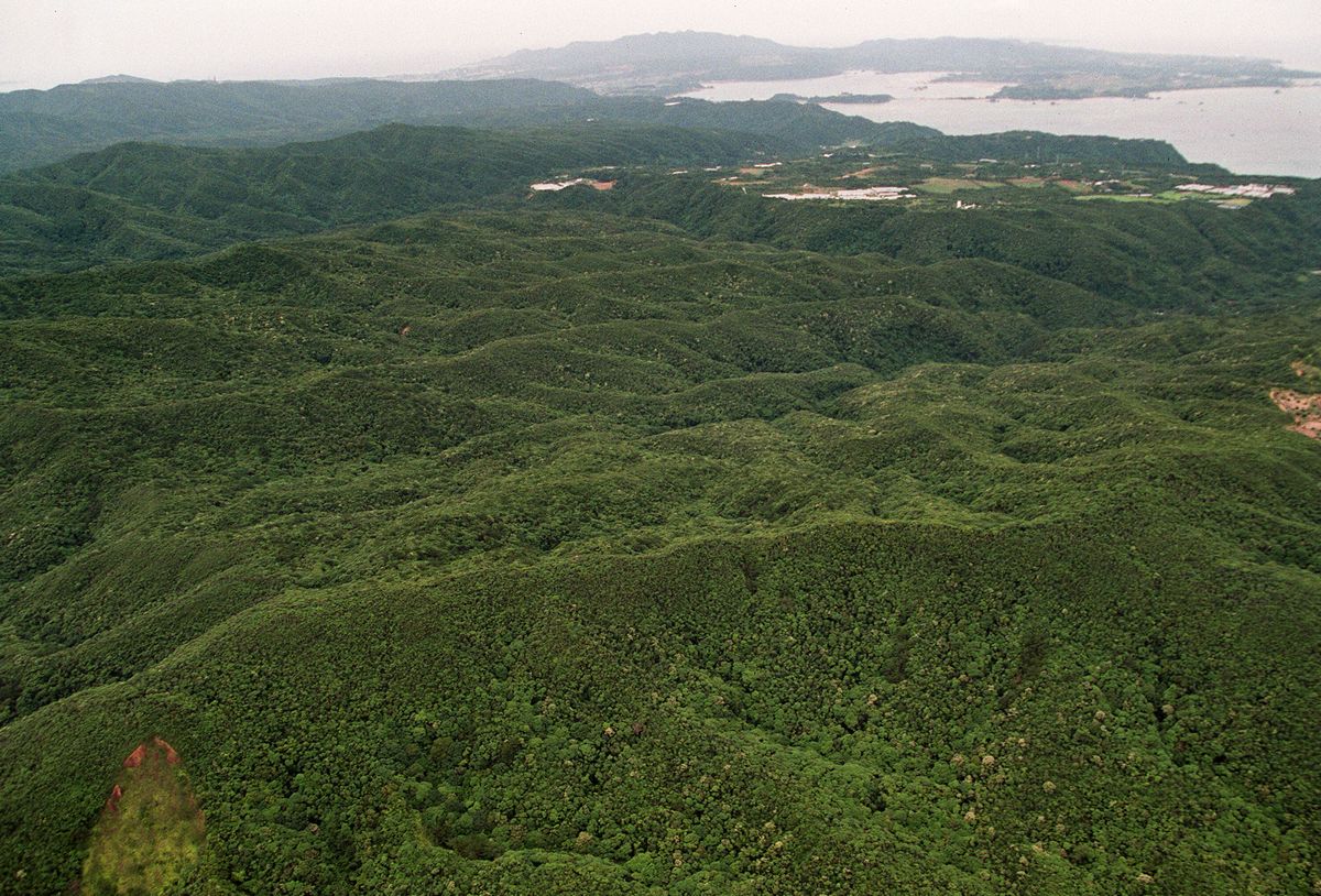 写真・図版 : 沖縄本島北部の「ヤンバル（山原）」=2000年、朝日新聞社機から