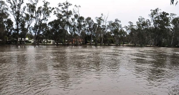 写真・図版 : オーストラリア南東部リベリナ地方を流れるマレー川