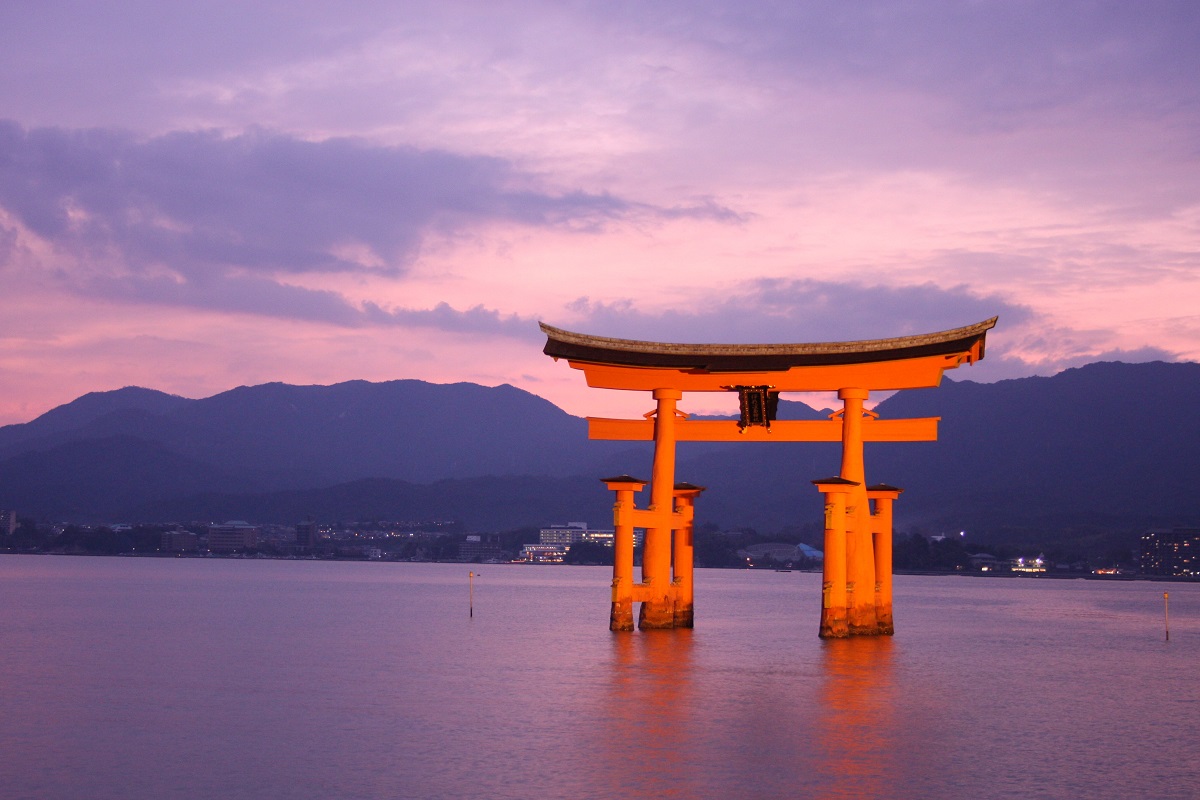 写真・図版 : 「厳島神社」の大鳥居。ライトアップで浮かび上がった＝筆者撮影