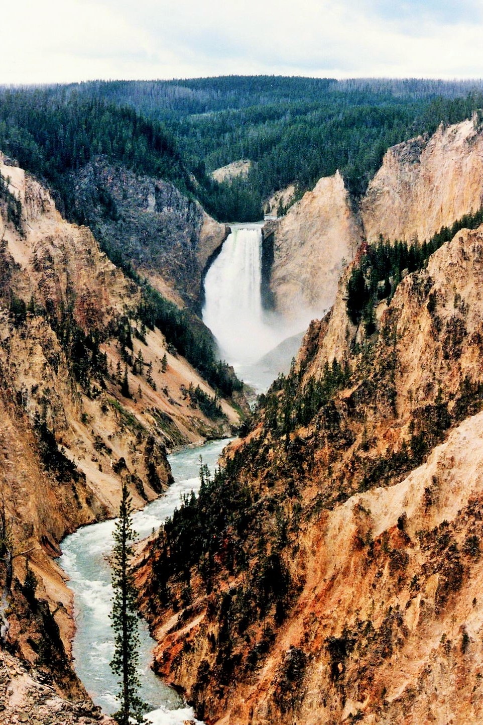 写真・図版 : アメリカの「イエローストーン国立公園」。名称の由来となった渓谷とロウアー滝＝筆者撮影