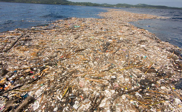 写真・図版 : カリブ海を漂うプラスチックス廃棄物=＝Caroline Powerさん撮影