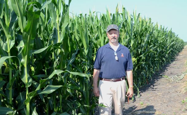 写真・図版 : 米イリノイ大学の実験農場とマイケル・グレー教授。遺伝子組み換えトウモロコシの耐性害虫の出現を毎年監視している＝2013年7月19日、米イリノイ州アーバナ