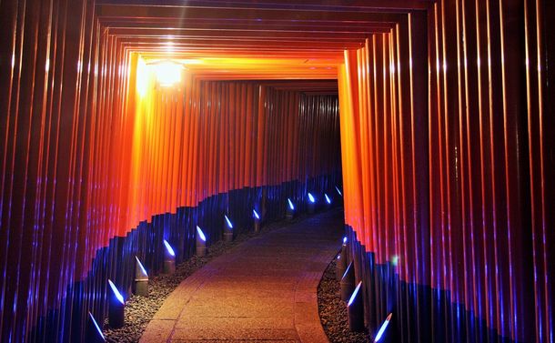 写真・図版 : 連なる鳥居が写真映えし、海外からも人気の伏見稲荷大社＝京都市、筆者撮影