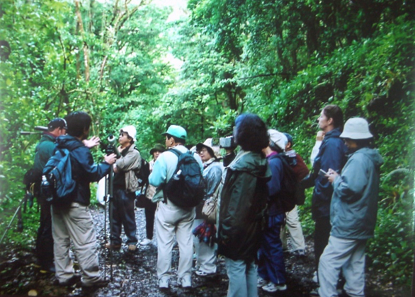 写真・図版 : モンテベルデ雲霧林生物保護区で自然観察する沖縄からの訪問団（筆者撮影）