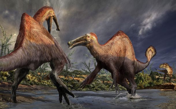 写真・図版 : デイノケイルスの復元画。水辺にいる2頭に肉食恐竜のタルボサウルス（右奥）が近付いている　©Davide Bonadonna