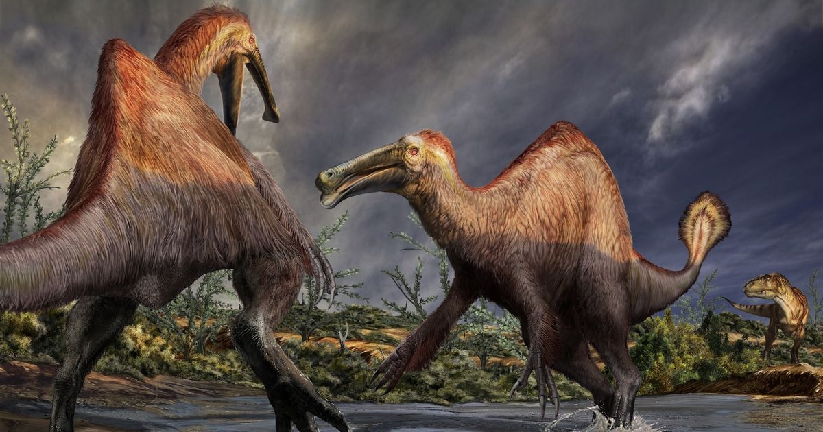 写真・図版 : デイノケイルスの復元画。水辺にいる2頭に肉食恐竜のタルボサウルス（右奥）が近付いている　©Davide Bonadonna