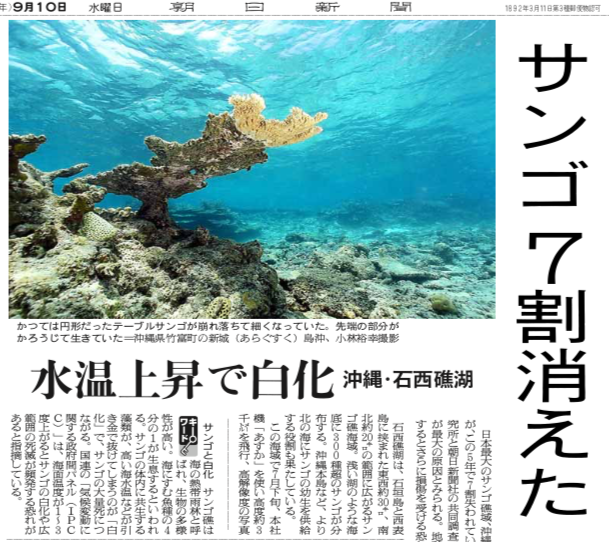 写真・図版 : 2008年9月10日付の「朝日新聞」１面
