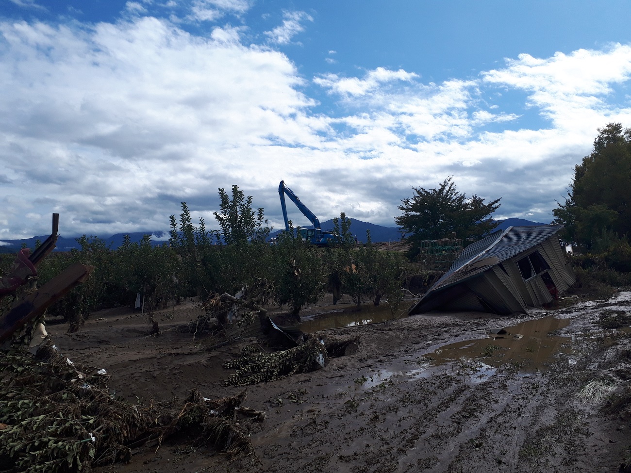 写真・図版 : 千曲川の決壊現場近くでは、水没した作業小屋が傾き、落下したリンゴが泥にまみれていた＝2019年10月19日、長野市