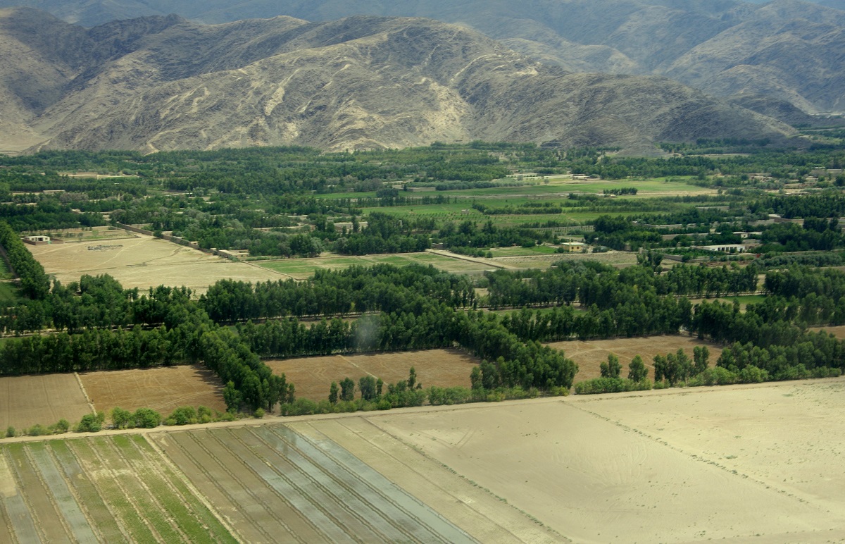 写真・図版 : アフガニスタン東部、かつては「死の谷」と呼ばれていた砂漠が、用水路によって緑に＝2015年7月、ペシャワール会提供
