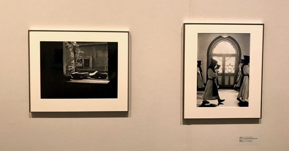 写真・図版 : 奈良原一高「王国」シリーズ（1958年、東京国立近代美術館蔵）展示風景