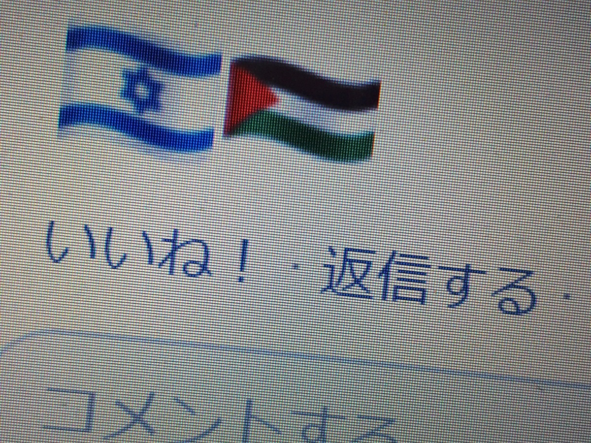 写真・図版 : イスラエル（左）とパレスチナ（右）の国旗は絵文字として入力できる