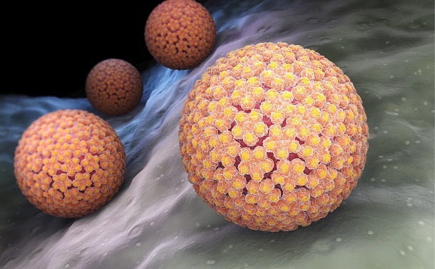 写真・図版 : ヒトパピローマウイルス（HPV）の3Dイラスト　shutterstock.com