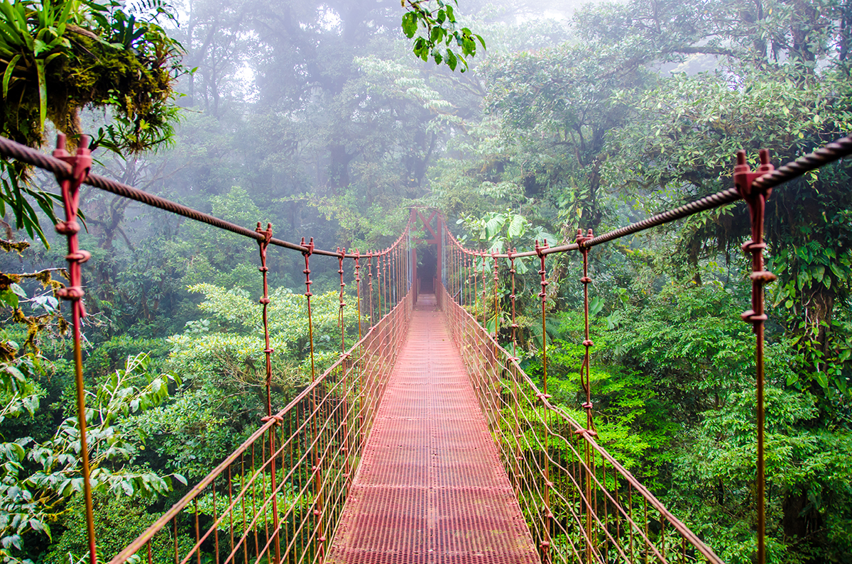 写真・図版 : コスタリカのモンテベルデにかかる吊り橋