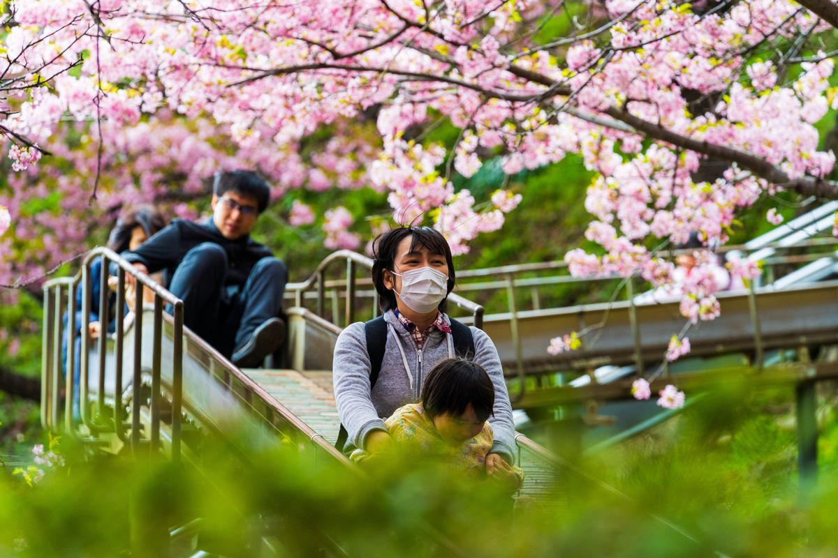 写真・図版 : 住田さんは公演や自然の中で時々遊ぶことも必要だという（本文の学校とは関係ありません）　Mike Towers/Shutterstock.com