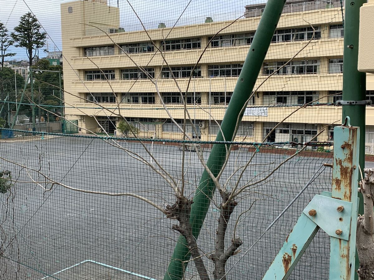 写真・図版 : この校庭に子どもたちの声が戻ってくるのはいつの日か＝岩崎撮影