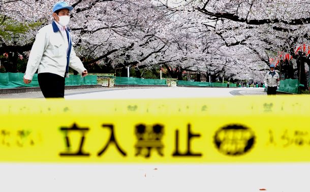 写真・図版 : 新型コロナウイルスの感染拡大防止のため、東京・上野恩賜（おんし）公園の花見の名所である「さくら通り」は通行止めとなった＝2020年3月27日午後3時39分