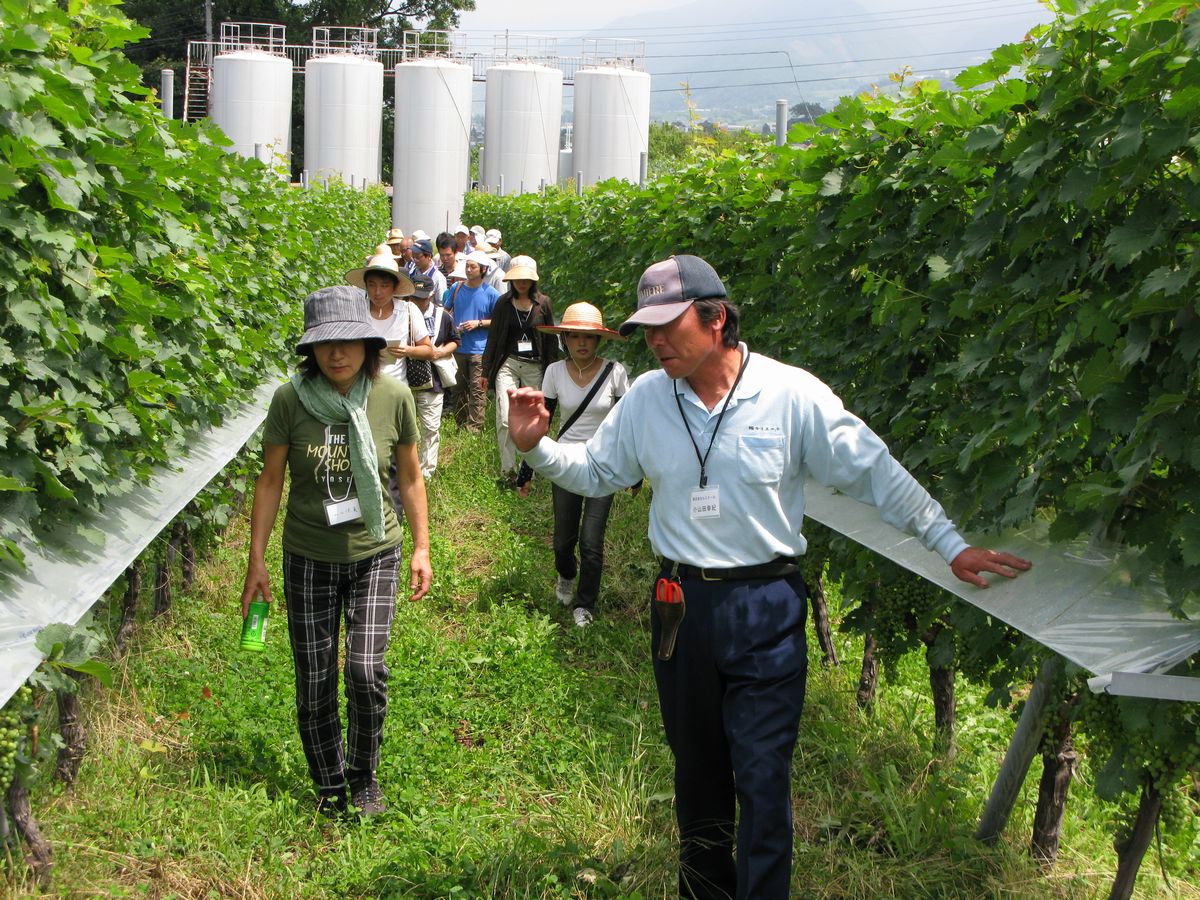 写真・図版 : ワインツーリズム。ブドウ畑で栽培家の説明を聞く人たち＝提供写真