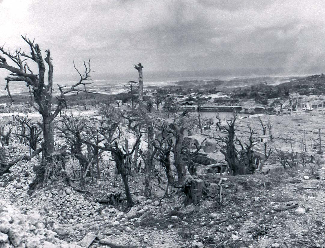 写真・図版 : 首里城壁からみた市街地。沖縄戦で周辺は廃虚となった＝1945年6月18日、米軍撮影、沖縄タイムス提供