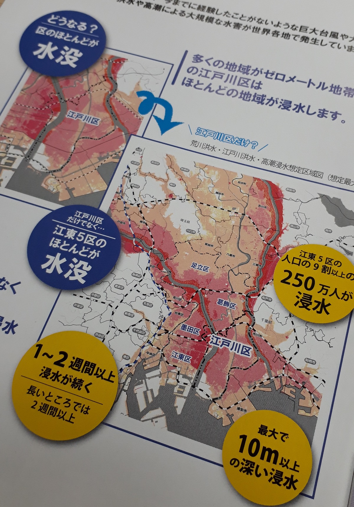 写真・図版 : 東京都江戸川区が2019年5月、全世帯に配布した水害のハザードマップ＝提供・東京都江戸川区