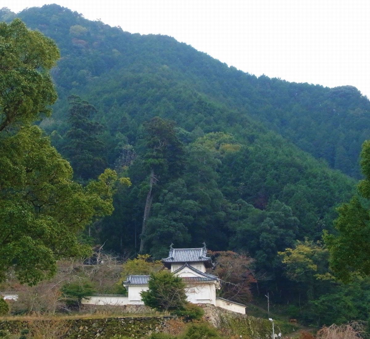 写真・図版 : 有子山の麓に、出石城跡を望む。町民の寄付によって再建された隅櫓が山の緑に映える（筆者撮影）